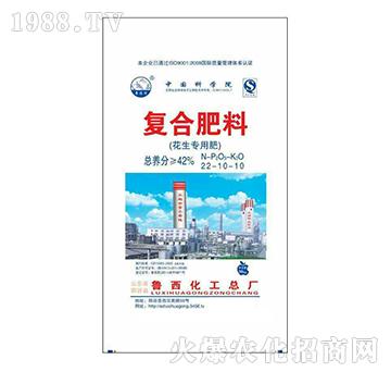 �������ÏͺϷ�22-10-10-��������