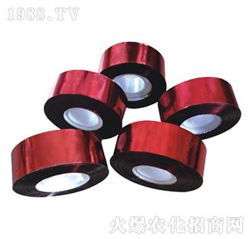 ��B�ʎ�-������