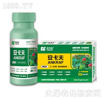 ��ˎ�Č�(zhu��n)���~���-������