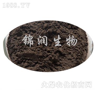 ����ù���ӷ�-�\������