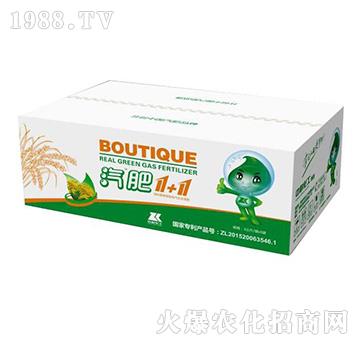 ���bˮ������1+1-�пƻ���