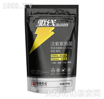 �������߾��w��-򌾀-��ɭ�r��