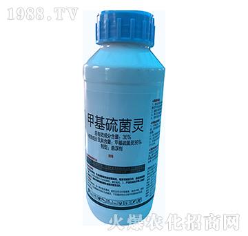 36%�׻�����`-�\(y��n)ʢ����