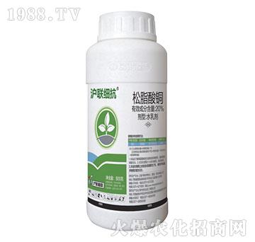 20%��֬���~-������-��