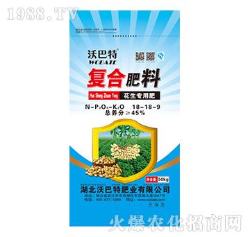 �������ÏͺϷ���18-18-9-�ְ���