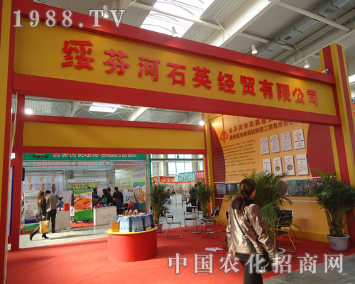 ʯӢ��(j��ng)�Q(m��o)����ʮ��⛷��Q(m��o)��Ʒ��