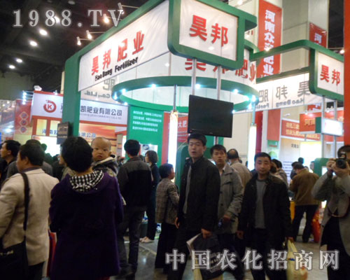 껰�ʘI(y��)ʢ�b����2012���ݷ��ϕ�