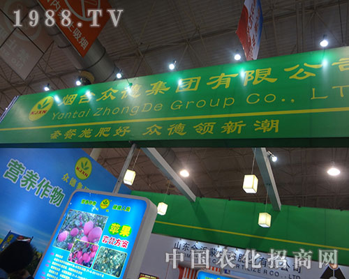 眾德集團(tuán)震撼12年中國(guó)磷復(fù)肥會(huì)議會(huì)場(chǎng)