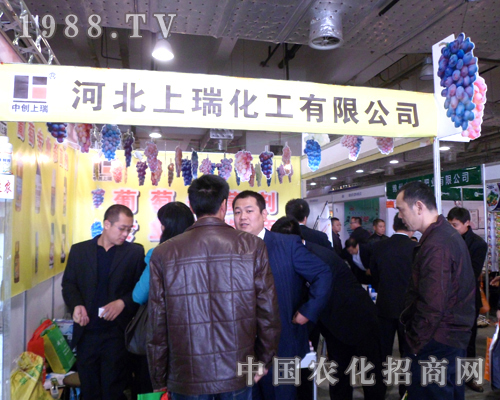 上瑞化工將農業(yè)的理念帶到濟南植保會