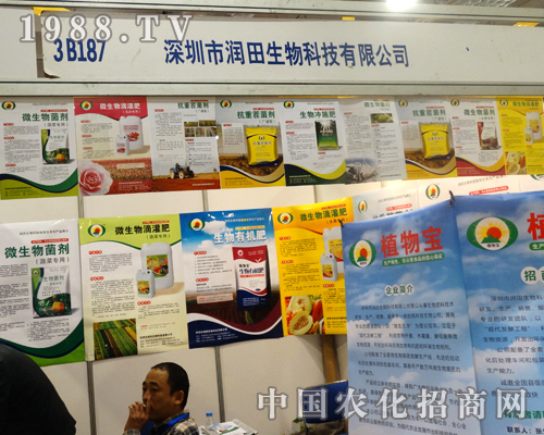 ����������2014ɽ�|ֲ��������ô�ϲ��