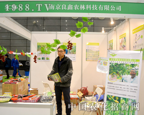 �Ͼ������Ԅ�(chu��ng)��վ��(w��n)�Ϸ�ֲ����(hu��)��