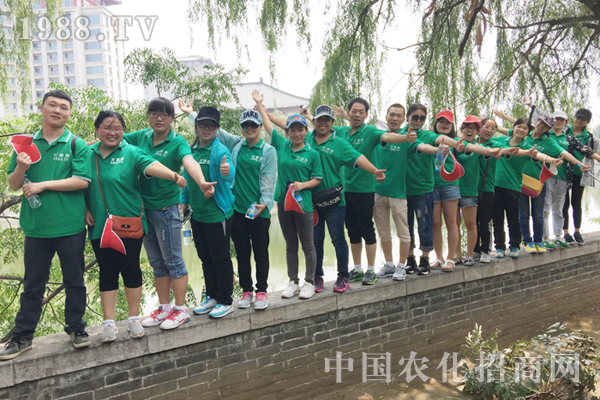 ȫ���Ը��� �����Լ�