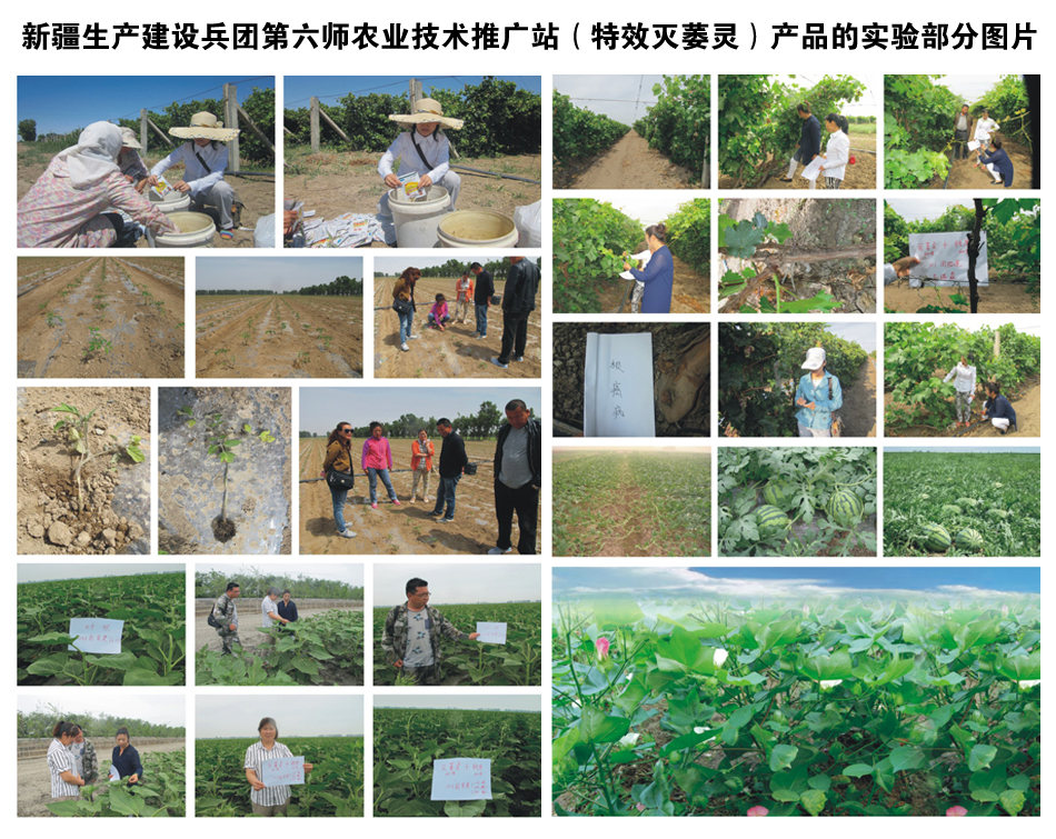 �½����a���O���F�������r�I(y��)���g�ƏVվ���aƷ�Č�򞲿�ֈDƬ