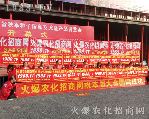     2017�������r(n��ng)ˎ���ו���1988.TV�������F(xi��n)�����P(gu��n)ע��