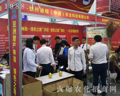 �F�U�۸���2017�����r(n��ng)ˎ��(hu��)��������