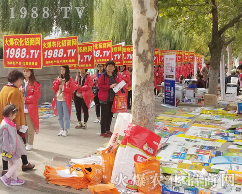     2018ɽ�|ֲ���p�����ϻ��r(n��ng)���W(w��ng)�ľ�Ӣ����ͬ�����