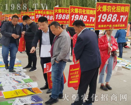     2018ɽ�|����ֲ�����ו������r(n��ng)���W(w��ng)����ֱǰ��