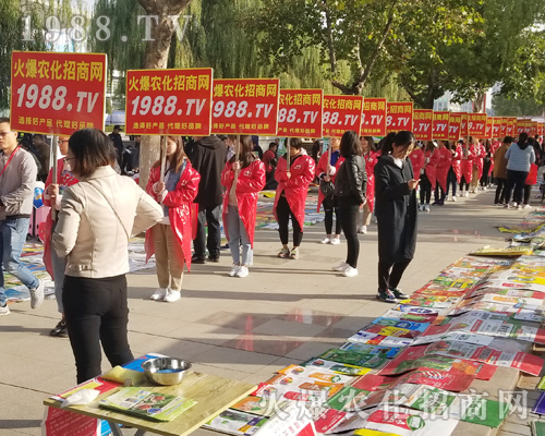     1988.TV���r(n��ng)�����̾W(w��ng)2018��(j��)��ֲ����(hu��)��(d��)���L(f��ng)����