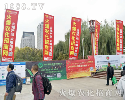 2018ɽ�|ֲ���p�����������r(n��ng)���W(w��ng)ȫ���������̹���