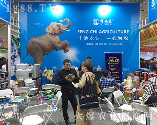 ��24��ɽ�|ֲ�������\����һչ�L(f��ng)��