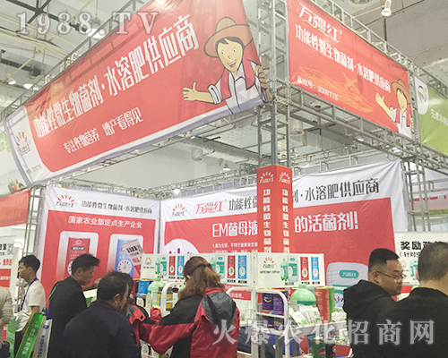 2018ɽ�|����ֲ���p�������f���tһ���L�