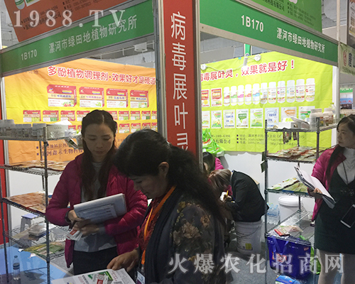 ����оG�����2018ɽ�|��(j��)��ֲ���p���������̳ɹ�