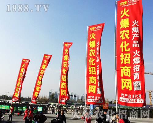 ����ʮ�Č�ȫ��ֲ���������r(n��ng)�����̾W(w��ng)�L(f��ng)��ȫ����