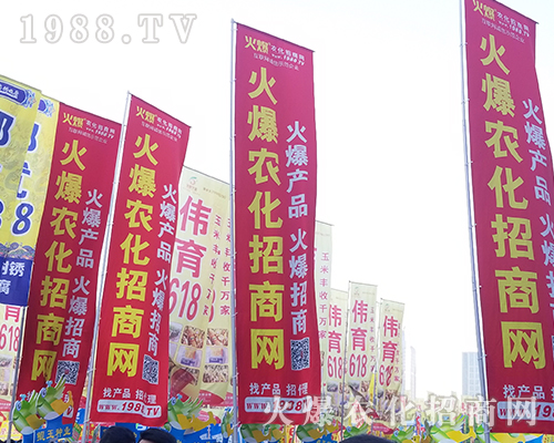 2018���������r(n��ng)ˎ��(hu��)��1988.TV����(zh��ng)***��