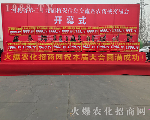 2018�ӱ�ֲ�����ϻ��r(n��ng)���W(w��ng)��Ӣ�ɳ�������(zh��n)����