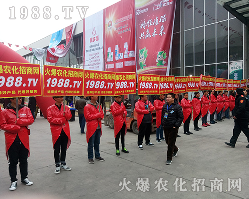 Ҫ�������ң�1988.TV�ذ�����2018�ӱ�ֲ������