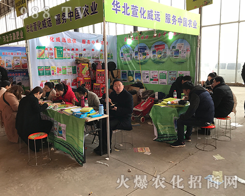 �A���滯���h�Ƽ��ڵ�29�úӱ�ֲ������չȭ�_