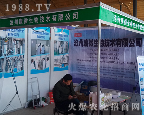 ���ݿ�΢������2018�ӱ�ֲ����(hu��)����Ч����