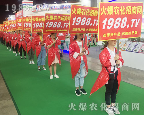 ���r(n��ng)���W(w��ng)�F�Y(ji��)һ�y�ֲ�������2018�����r(n��ng)�Y���[����