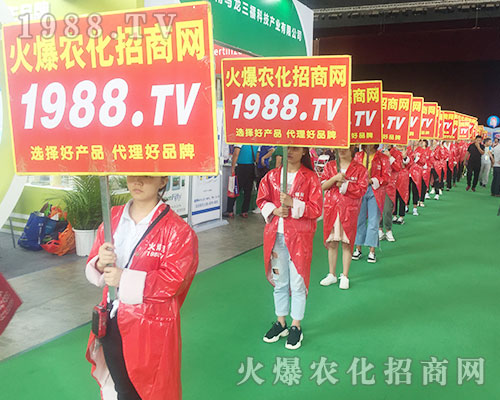 ��ʮ��������r(n��ng)�Y���[��(hu��)�ϻ��r(n��ng)�����̾W(w��ng)��(zh��n)ʿԏ�ƴ������