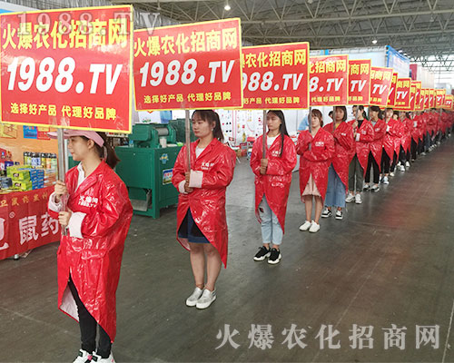 2018�����r�Y����1988.TV�ٴγɞ�ȫ�����c��