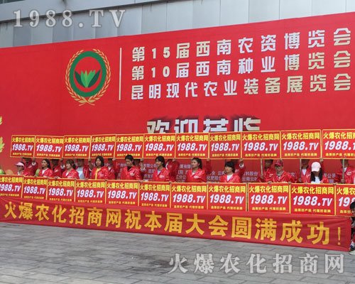 �o̎�����r(n��ng)���W(w��ng)���M�۱M�ǻ𱬼t��