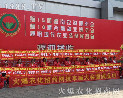 �o̎�����r(n��ng)���W(w��ng)���M�۱M�ǻ𱬼t��