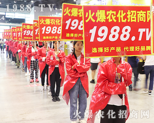     2019�Ϸ��r(n��ng)�Y���[���ϻ��r(n��ng)���W(w��ng)��Ӣ�ɳ�������(zh��n)����