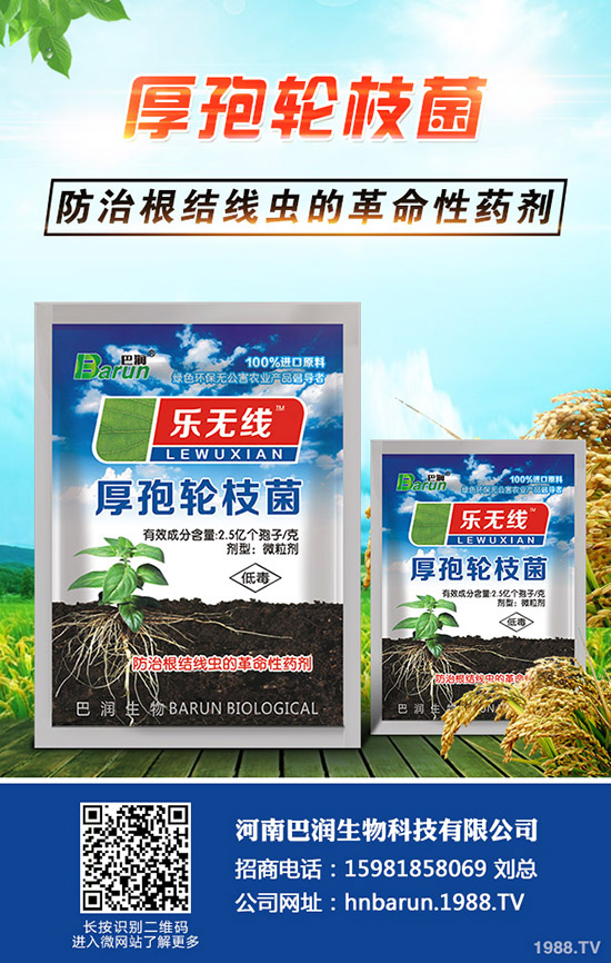 ����÷��ô�B(y��ng)������÷���B(y��ng)ֳ������ע�������