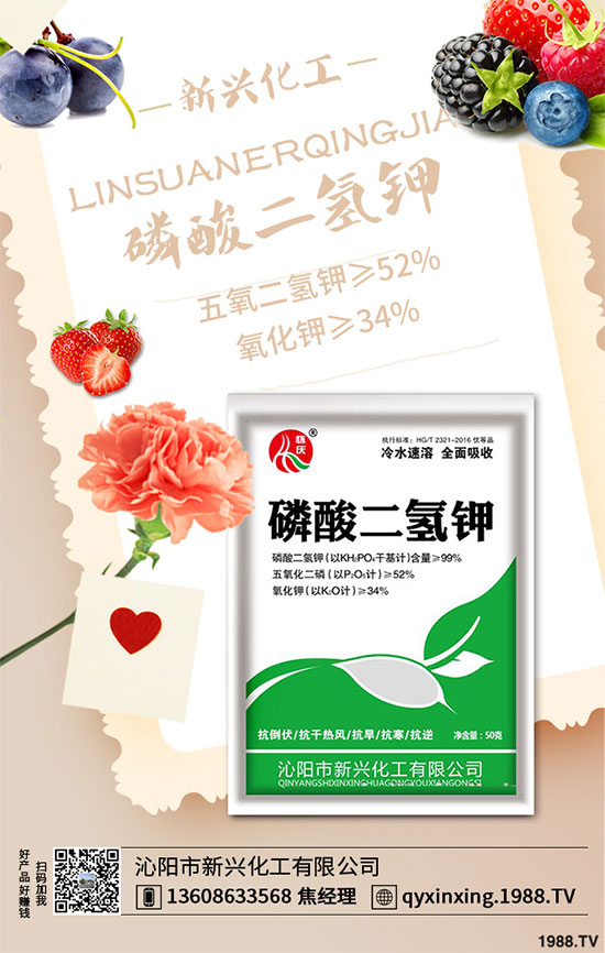 ���[�B��Σ����������ԓ��ν�Q�����[�B���ϵK���߮a(ch��n)�������g(sh��)��