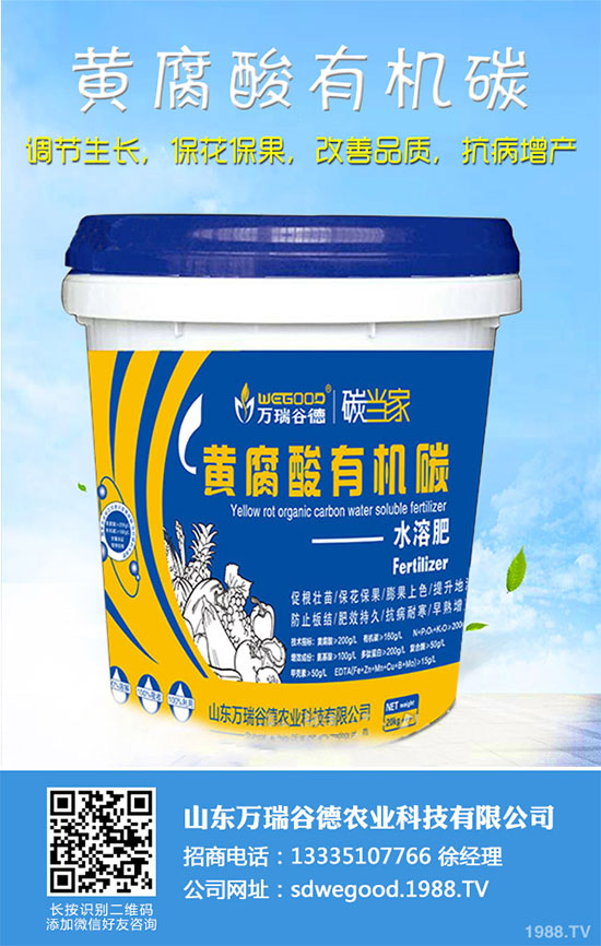 С�ײ�ʲô�r(sh��)��Nֲ��С�ײ˸߮a(ch��n)�Nֲ���g(sh��)