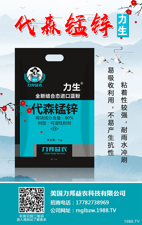 ԭˎ�r(ji��)��