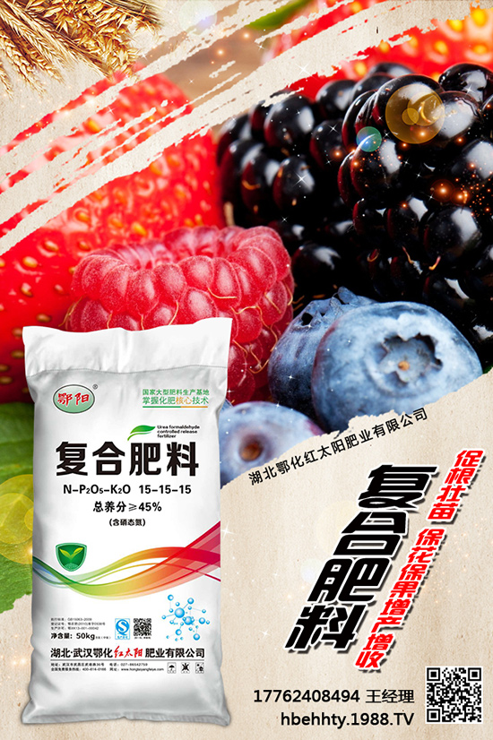 ���������t̫ꖷʘI(y��)���޹�˾1