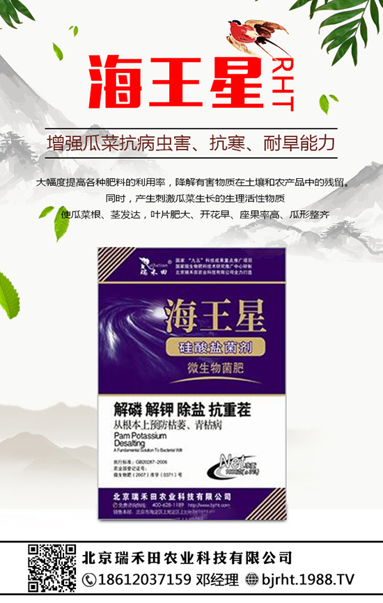 ���N�����B(y��ng)�������N���B(y��ng)ֳ������ע�������