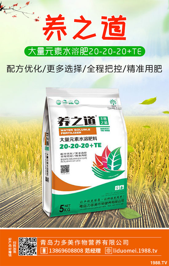 �ײ˰��P��Σ���@ô��������ԓ��η������ײ˰��P�����δ�ʩ