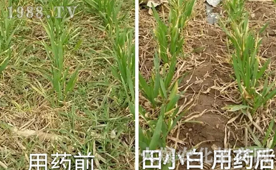 ��(ji��)��(ji��)����η�������ʲôˎ����ô��ˎЧ���ã�