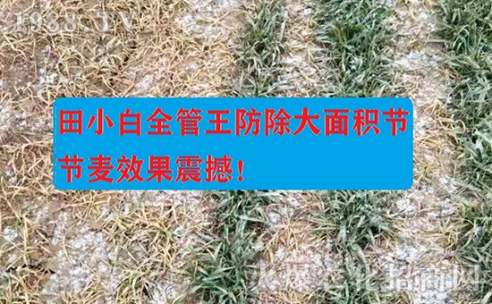 ��(ji��)��(ji��)����η�������ʲôˎ����ô��ˎЧ���ã�