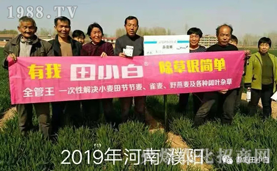 39��(ji��)��(ji��)����η�������ʲôˎ����ô��ˎЧ������