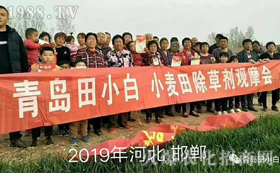 ��(ji��)��(ji��)����η�������ʲôˎ����ô��ˎЧ������