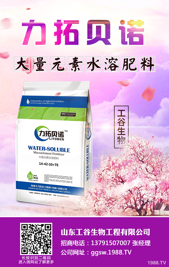     �������鼴�����ӣ��������؃r�������A�y2019-10-22